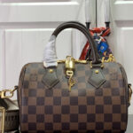 Louis Vuitton Speedy Bandouliere 20 N40489 Brown